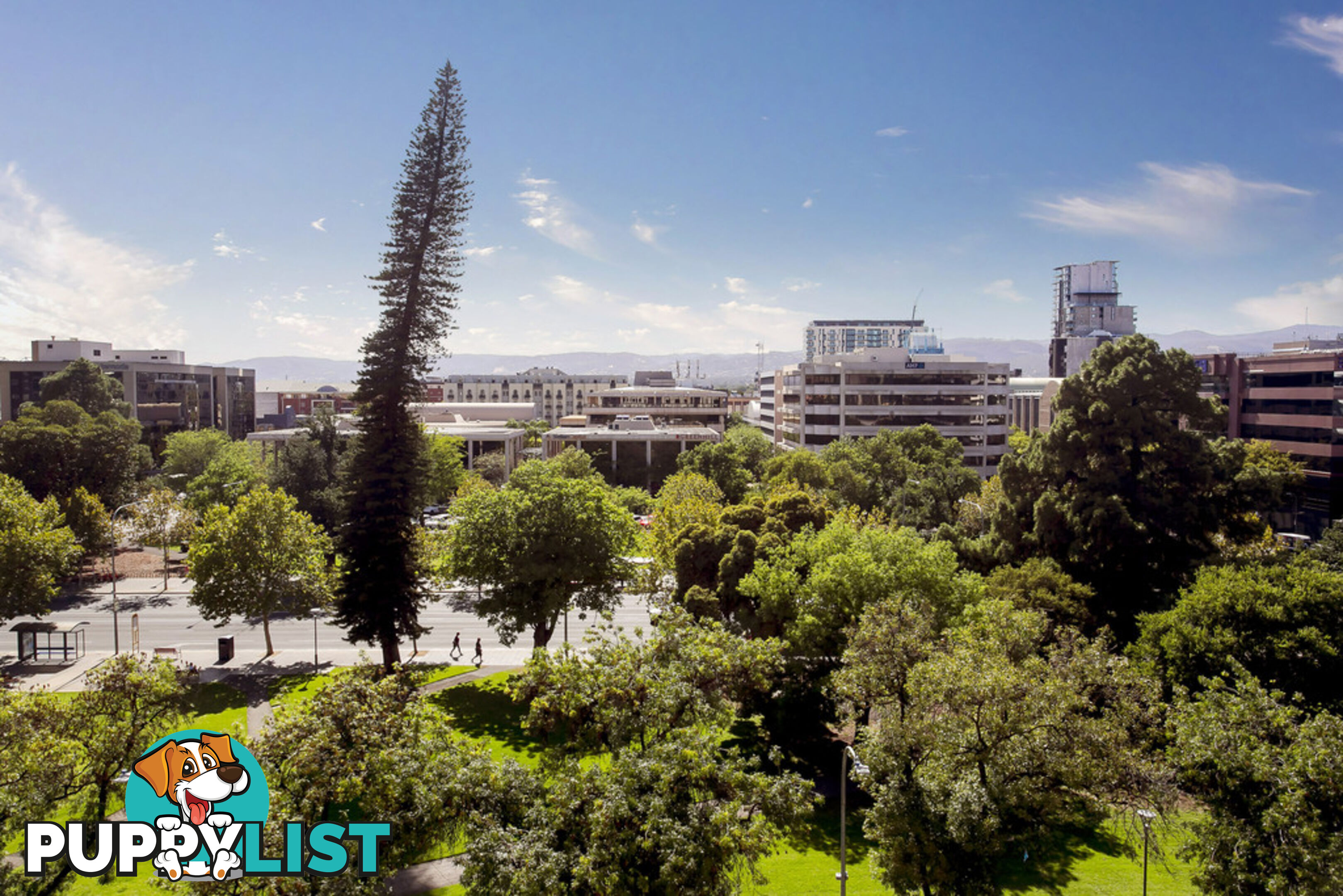 513/61 Hindmarsh Square ADELAIDE SA 5000