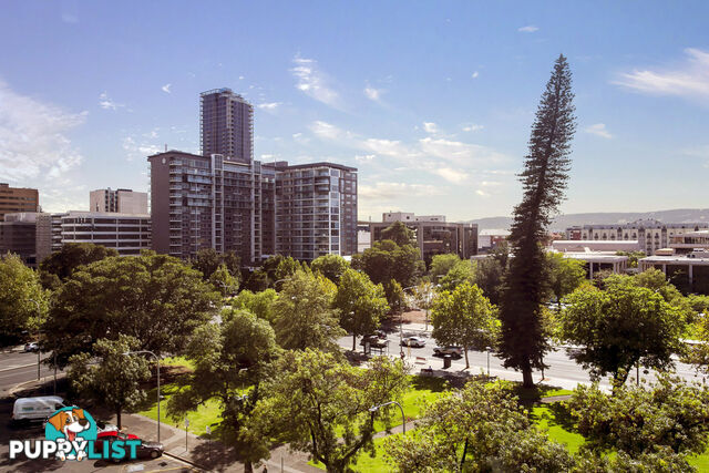 513/61 Hindmarsh Square ADELAIDE SA 5000