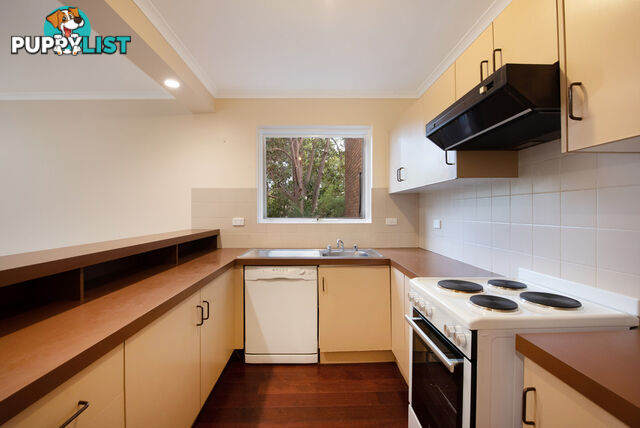 5/386 Carrington Street ADELAIDE SA 5000