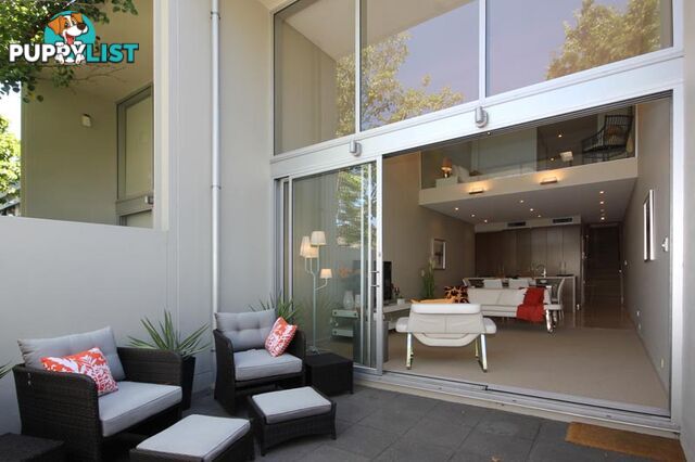 31A Hallett Street ADELAIDE SA 5000