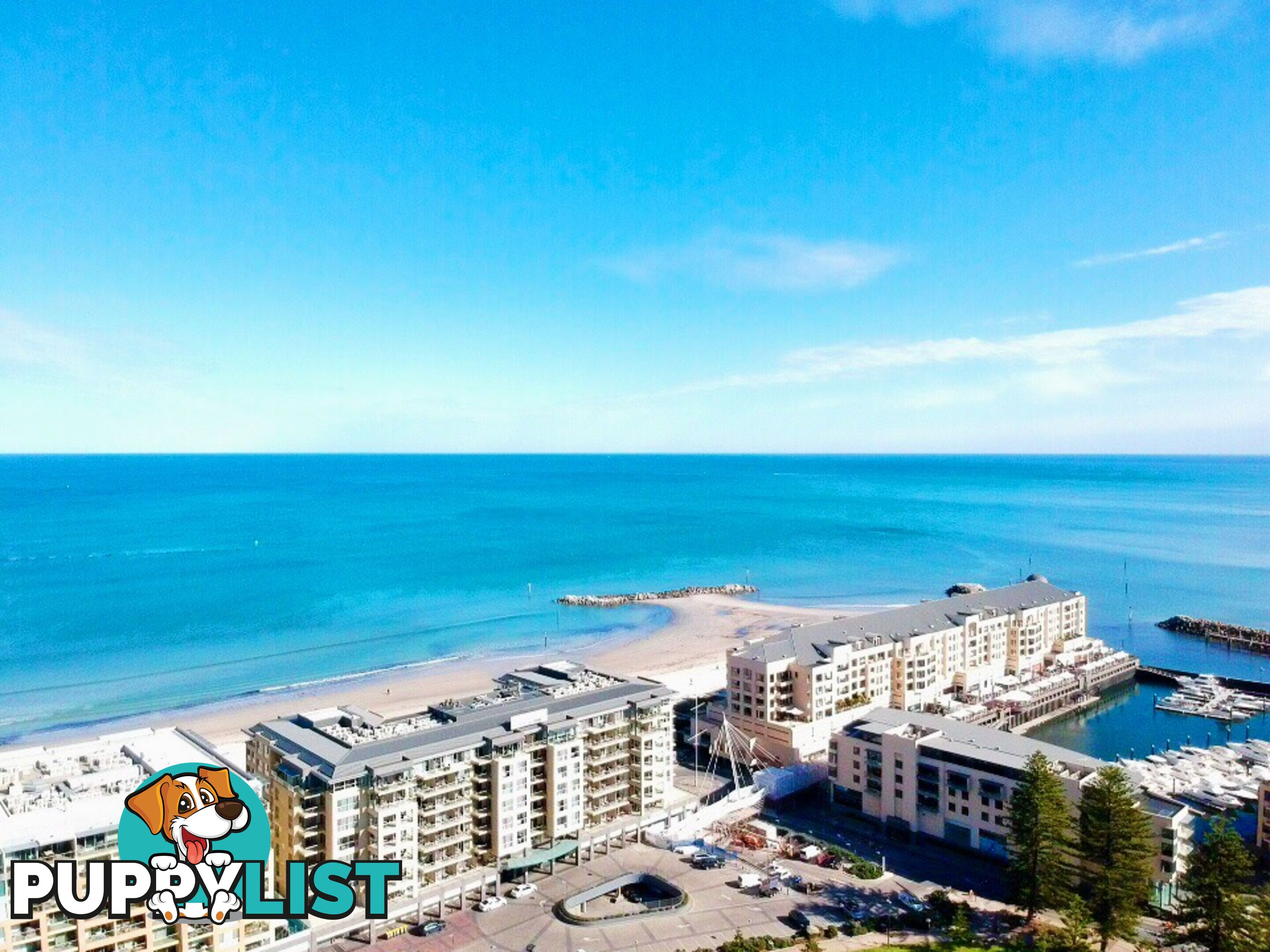 22 Colley Terrace GLENELG SA 5045