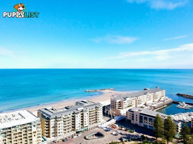 22 Colley Terrace GLENELG SA 5045