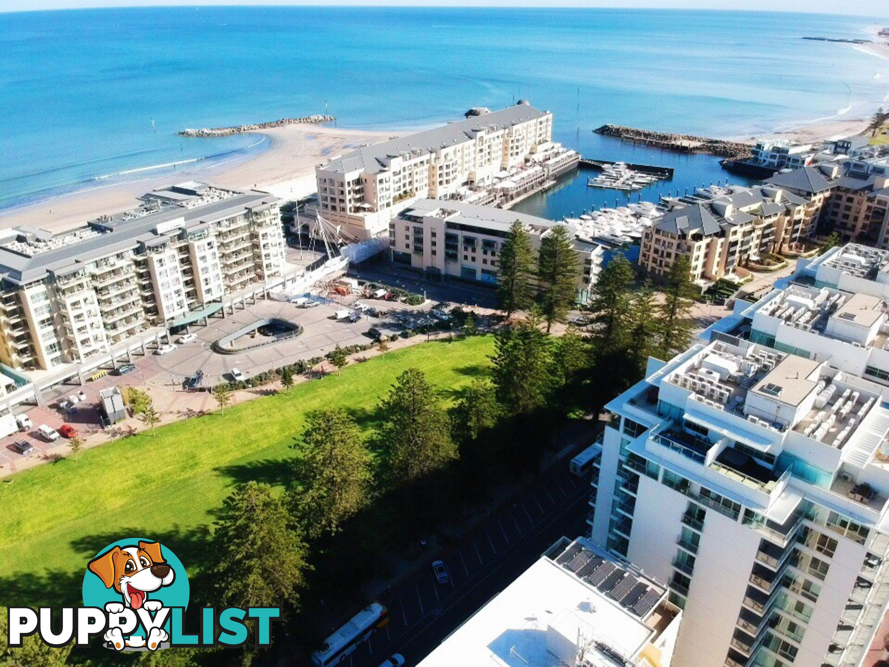 22 Colley Terrace GLENELG SA 5045