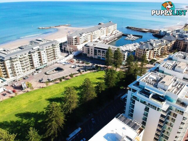 22 Colley Terrace GLENELG SA 5045