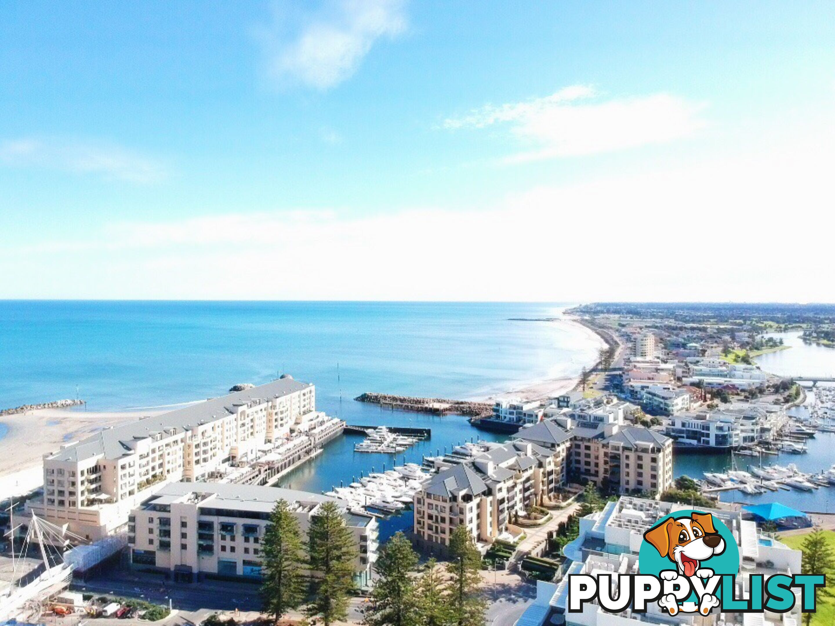 22 Colley Terrace GLENELG SA 5045