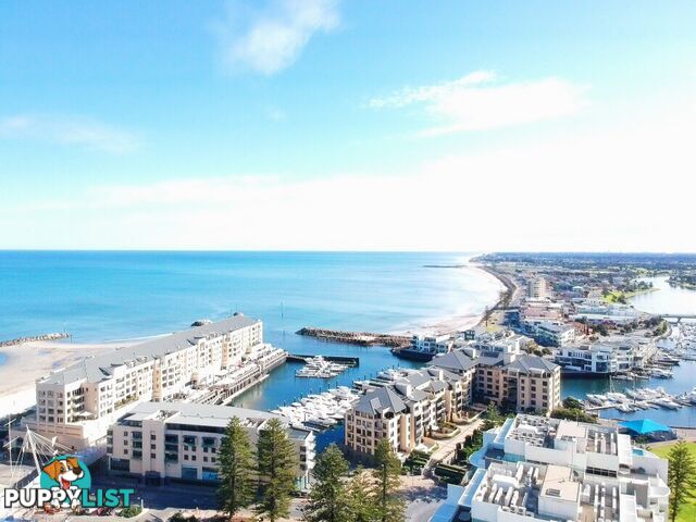 22 Colley Terrace GLENELG SA 5045