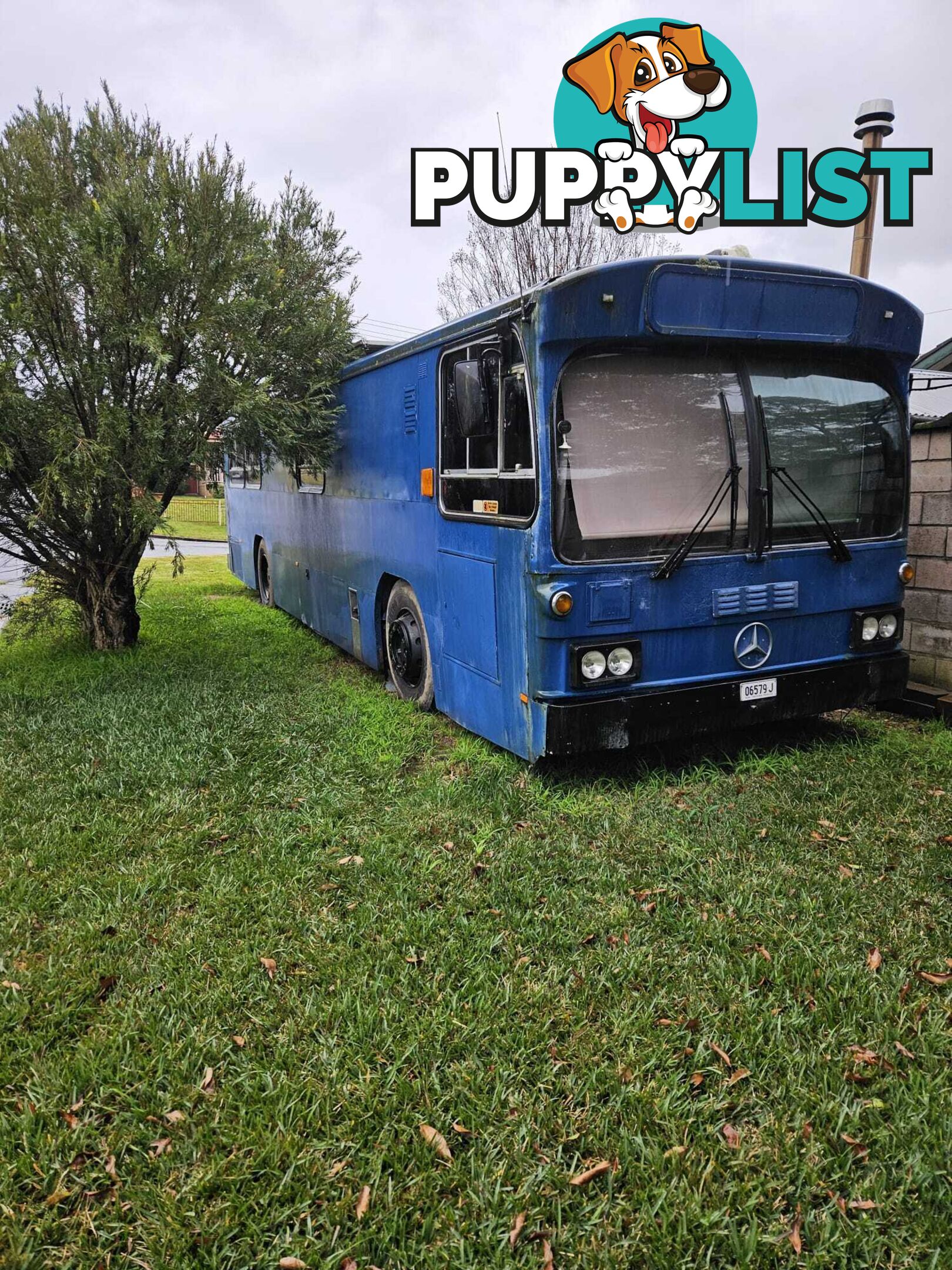 Bus converted to motorhome