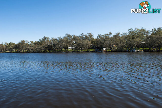 Lot 1031 Murray River Escape SOUTH YUNDERUP WA 6208