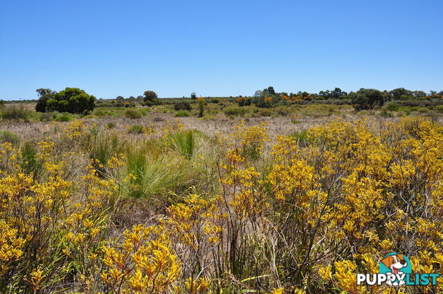 Lot 171 Wildflower Ridge Estate LOWER CHITTERING WA 6084