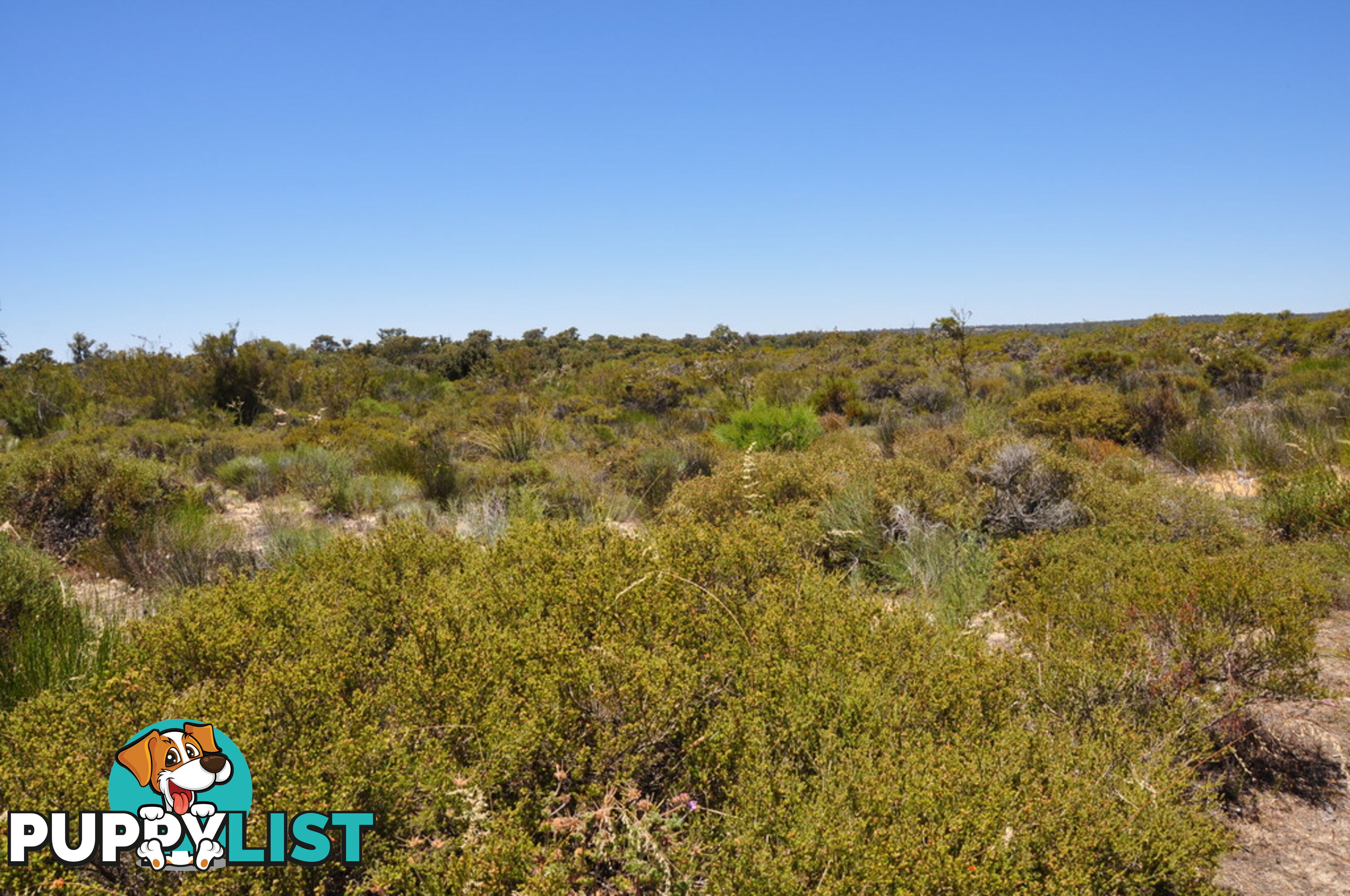 Lot 171 Wildflower Ridge Estate LOWER CHITTERING WA 6084