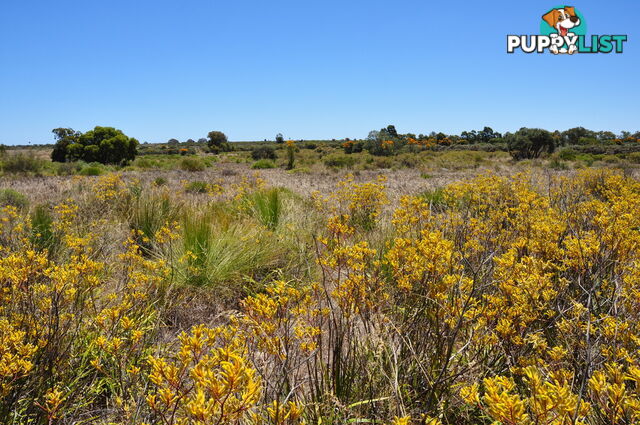 Lot 144 Wildflower Ridge Estate LOWER CHITTERING WA 6084