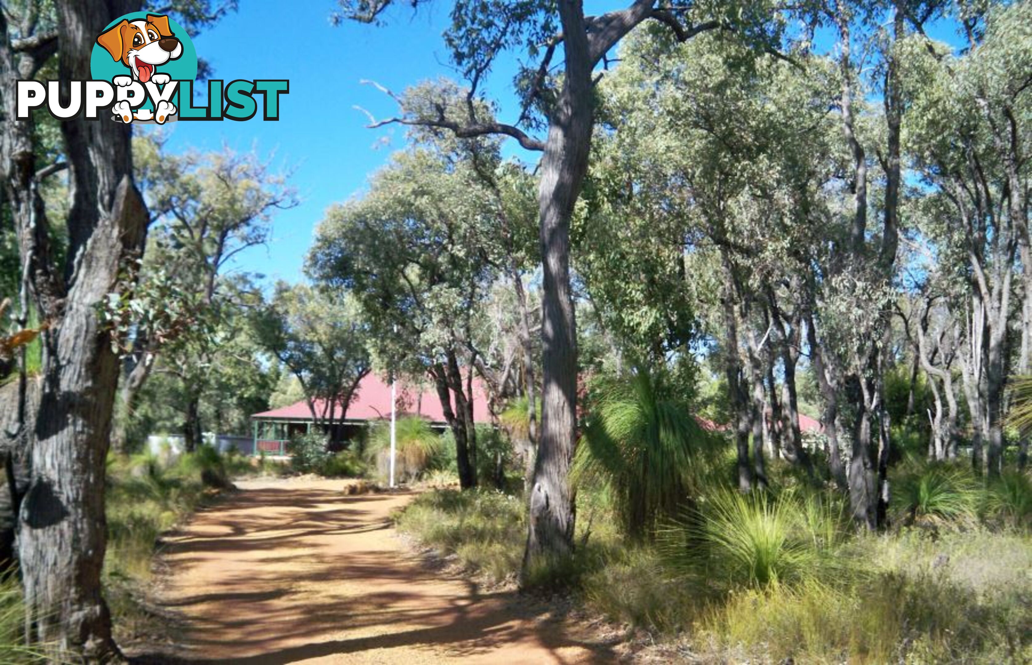 26 Red Poll Court LOWER CHITTERING WA 6084
