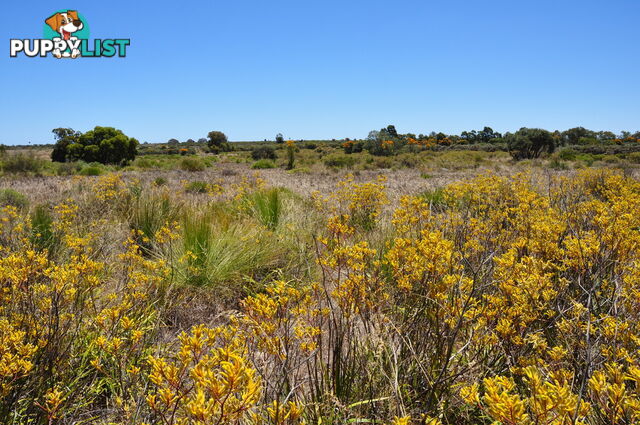 Lot 104 Wildflower Ridge Estate LOWER CHITTERING WA 6084