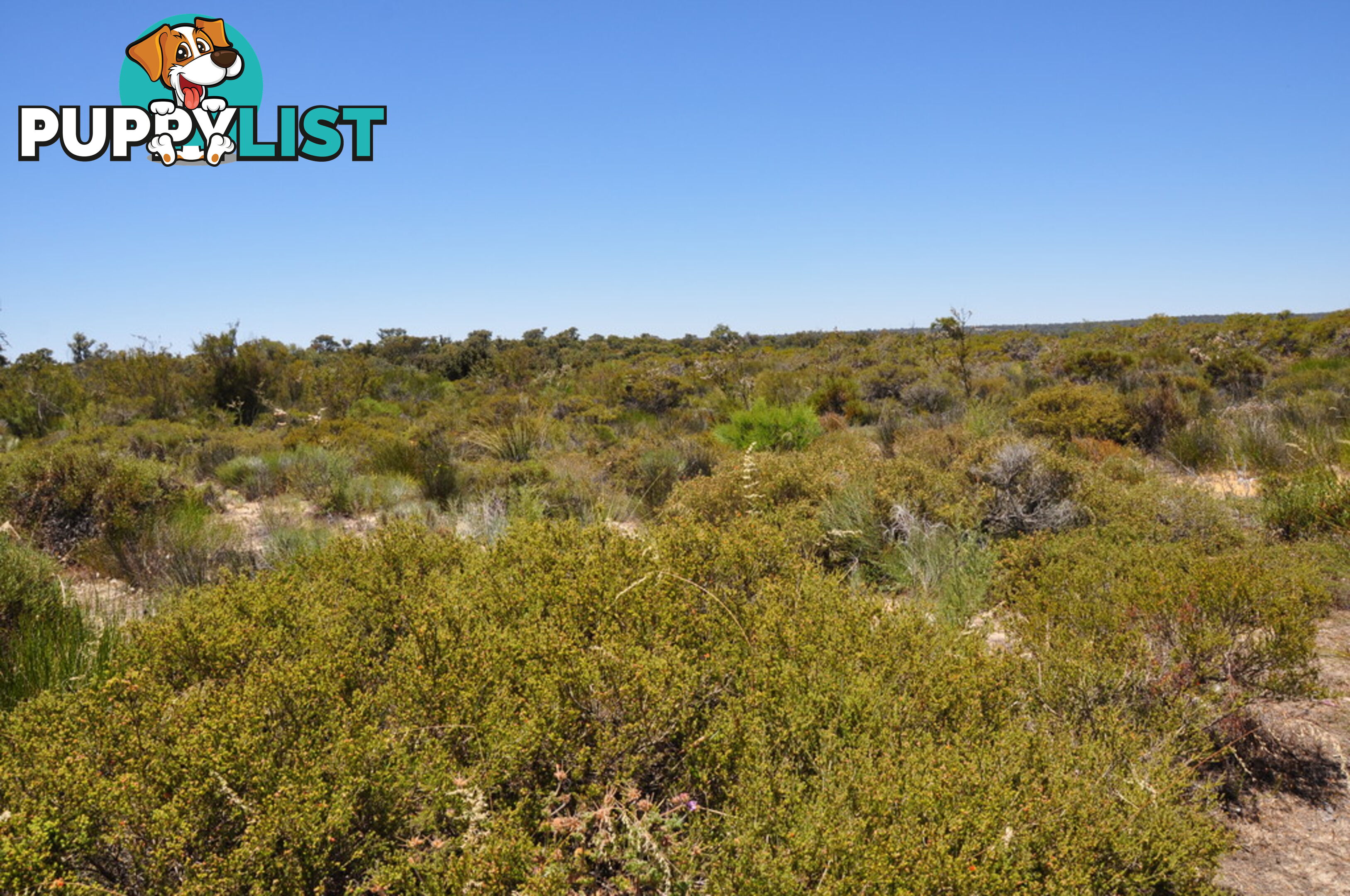 Lot 104 Wildflower Ridge Estate LOWER CHITTERING WA 6084