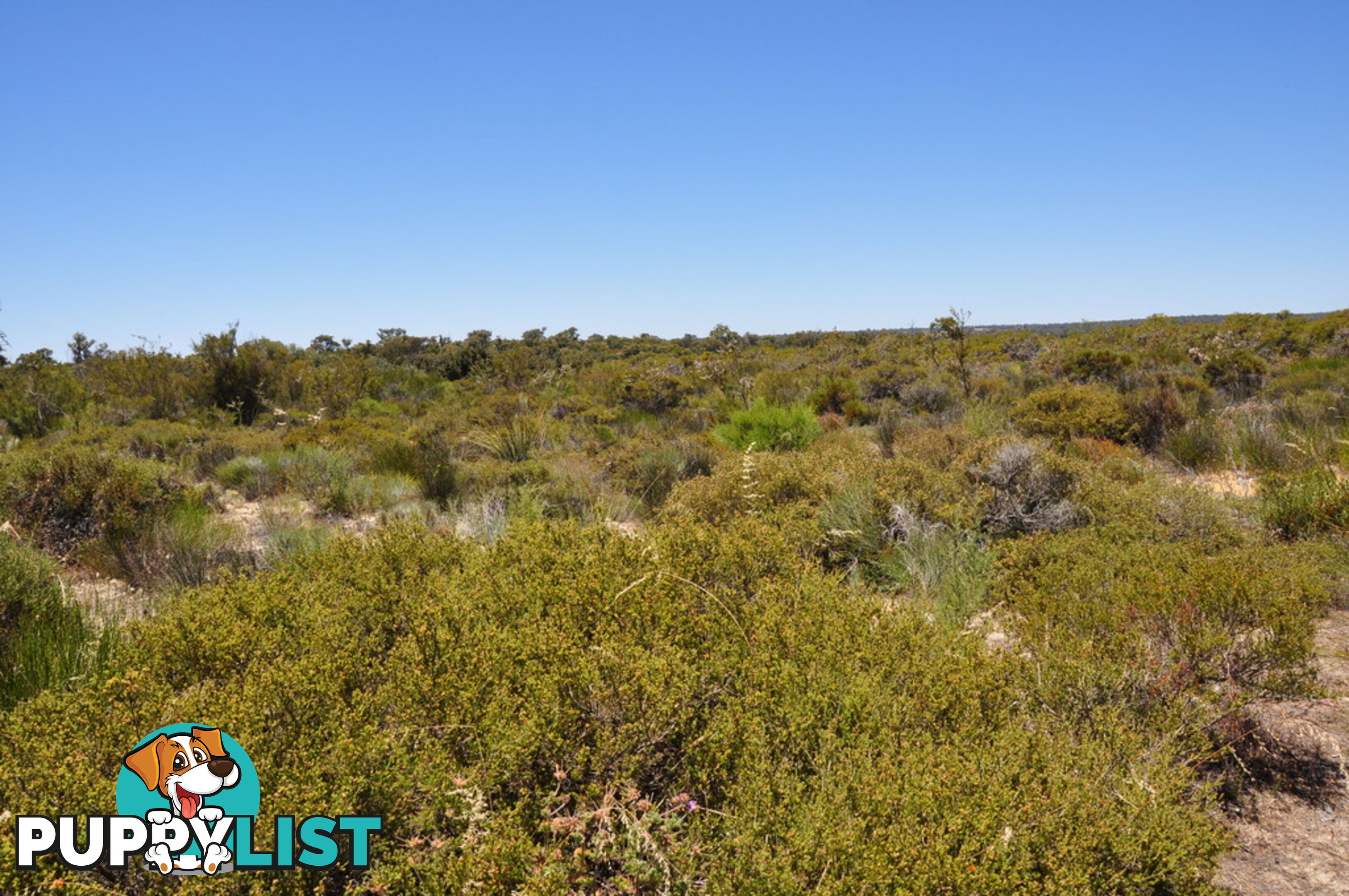 Lot 155 Wildflower Ridge Estate LOWER CHITTERING WA 6084