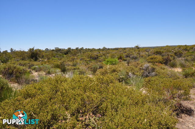 Lot 155 Wildflower Ridge Estate LOWER CHITTERING WA 6084