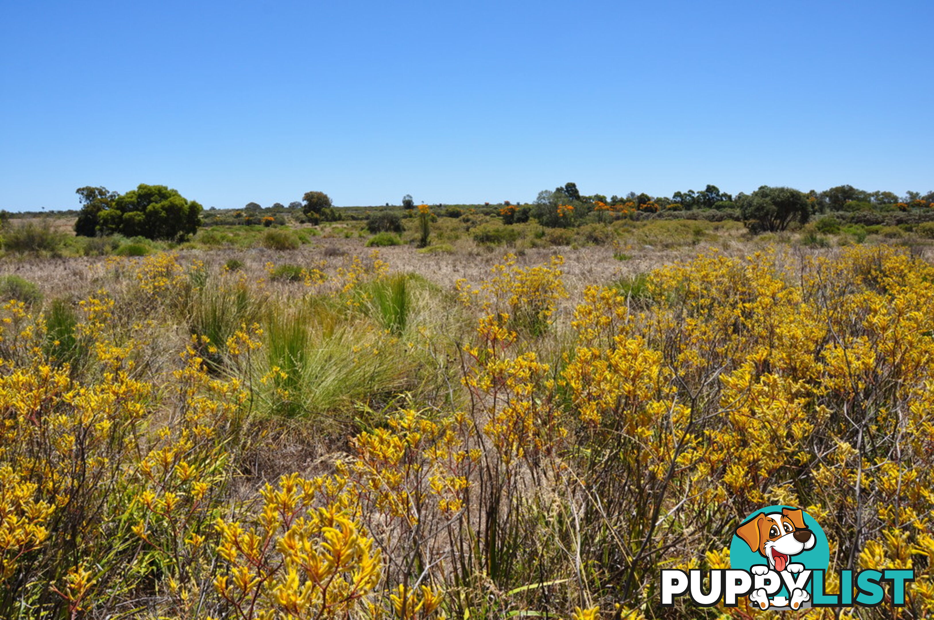 Lot 155 Wildflower Ridge Estate LOWER CHITTERING WA 6084