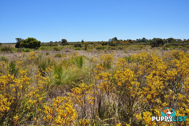 Lot 155 Wildflower Ridge Estate LOWER CHITTERING WA 6084