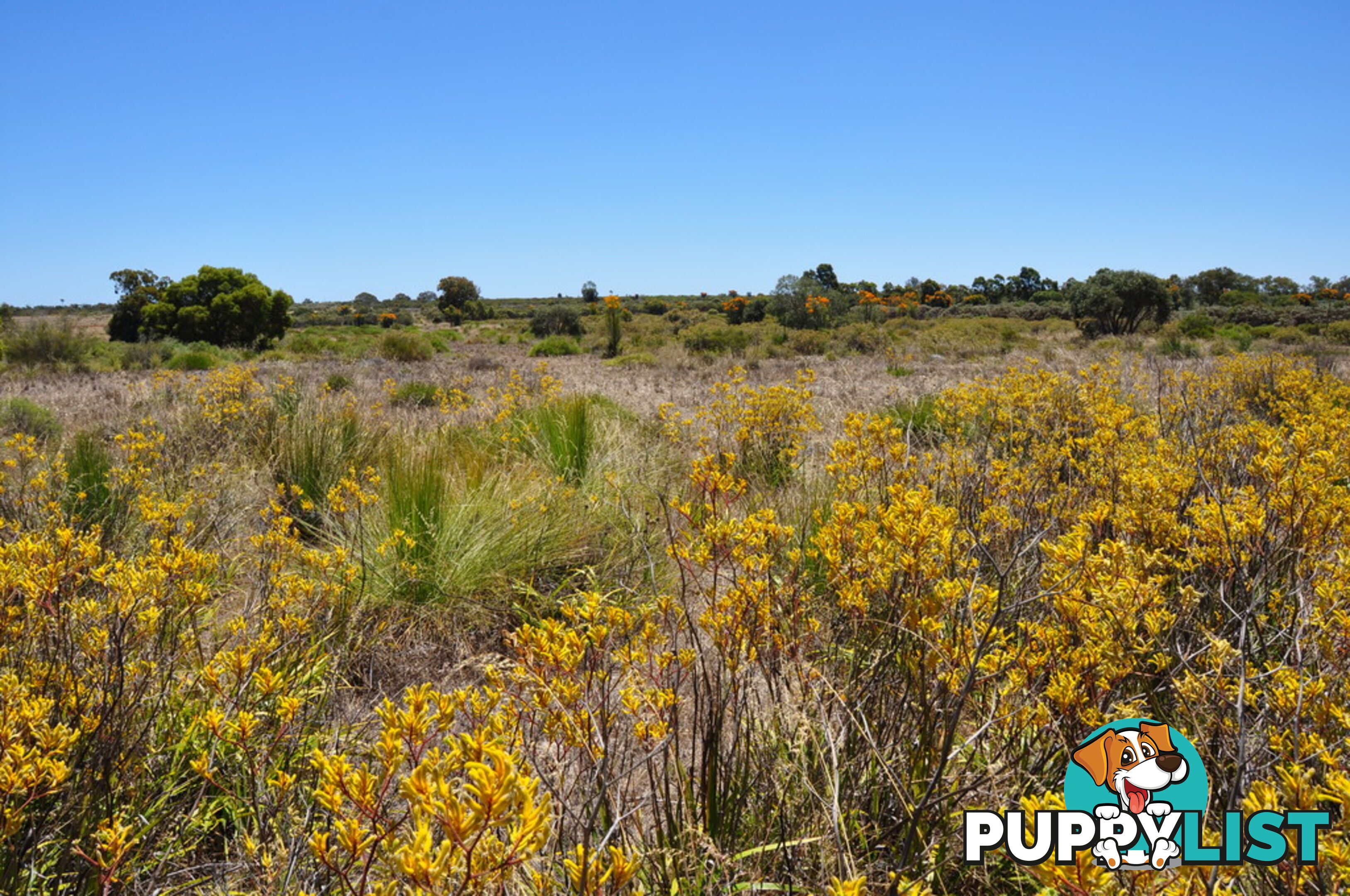 Lot 167 Wildflower Ridge Estate LOWER CHITTERING WA 6084