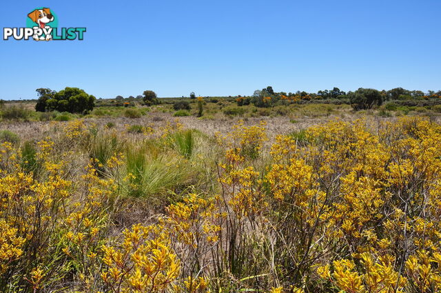 Lot 167 Wildflower Ridge Estate LOWER CHITTERING WA 6084