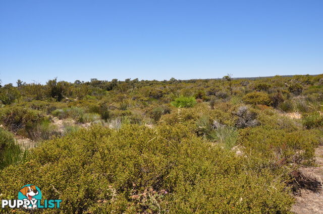 Lot 167 Wildflower Ridge Estate LOWER CHITTERING WA 6084