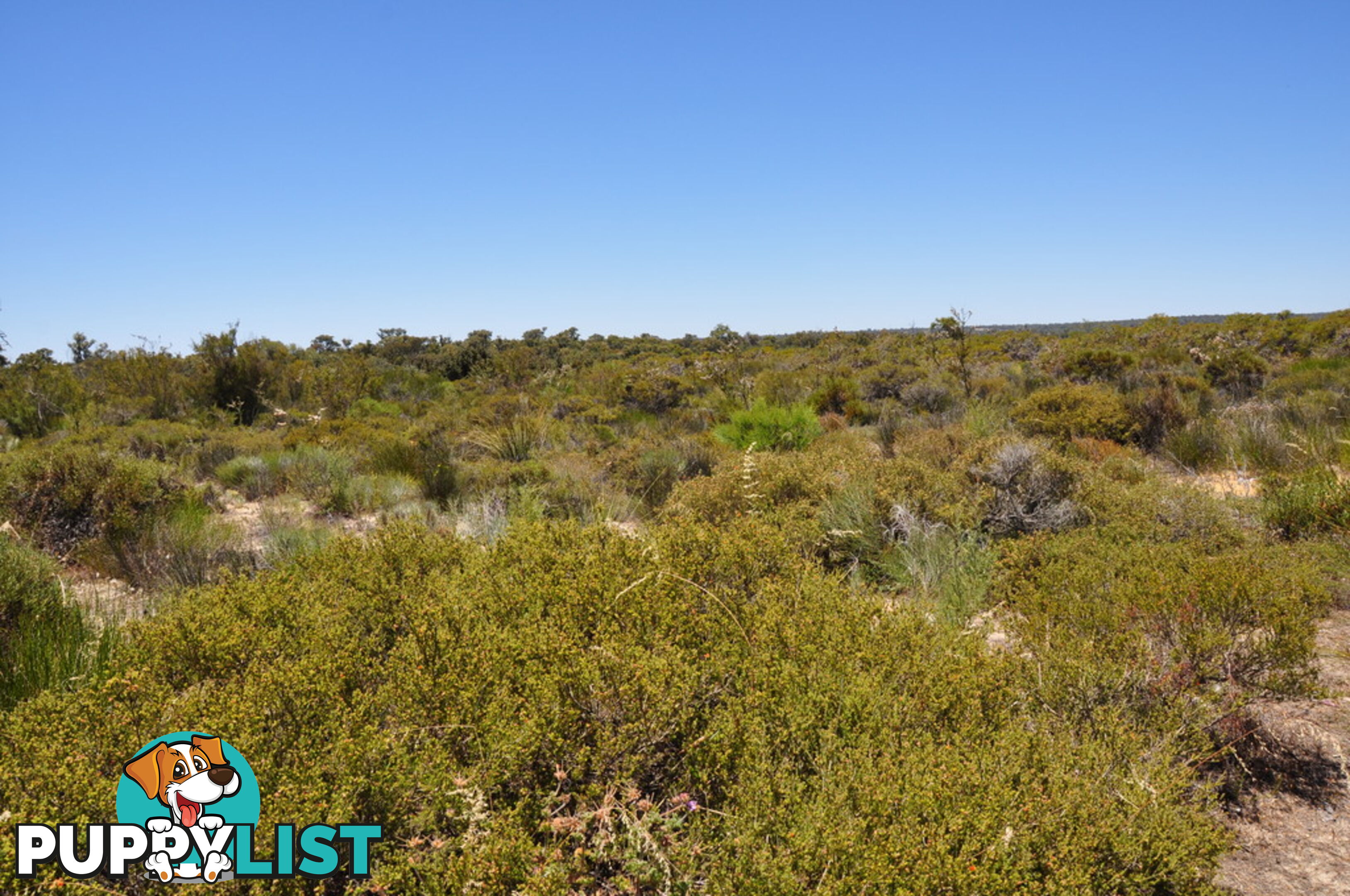 Lot 148 Wildflower Ridge Estate LOWER CHITTERING WA 6084