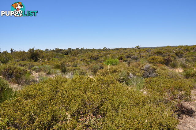 Lot 148 Wildflower Ridge Estate LOWER CHITTERING WA 6084