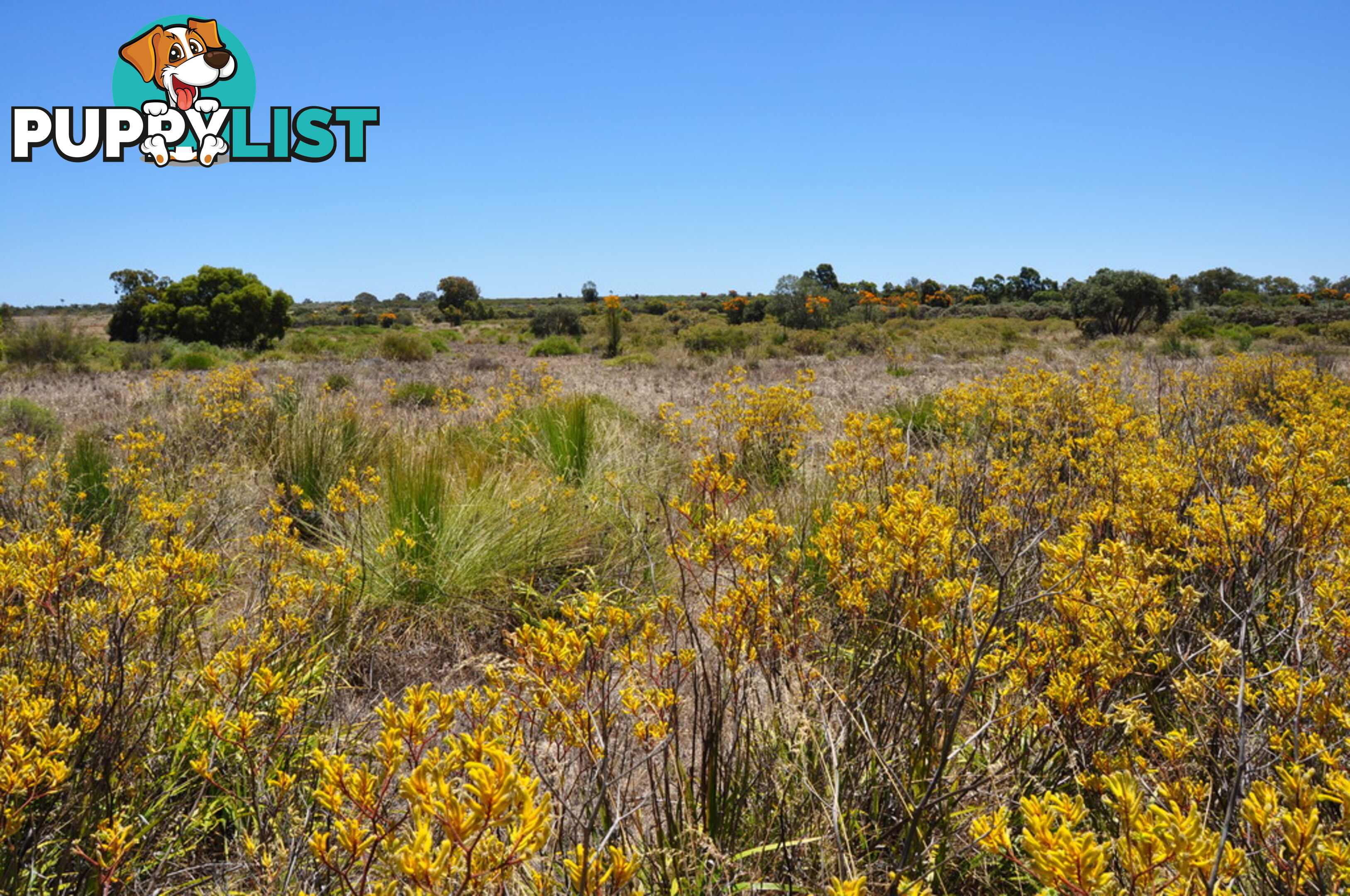 Lot 150 Wildflower Ridge Estate LOWER CHITTERING WA 6084