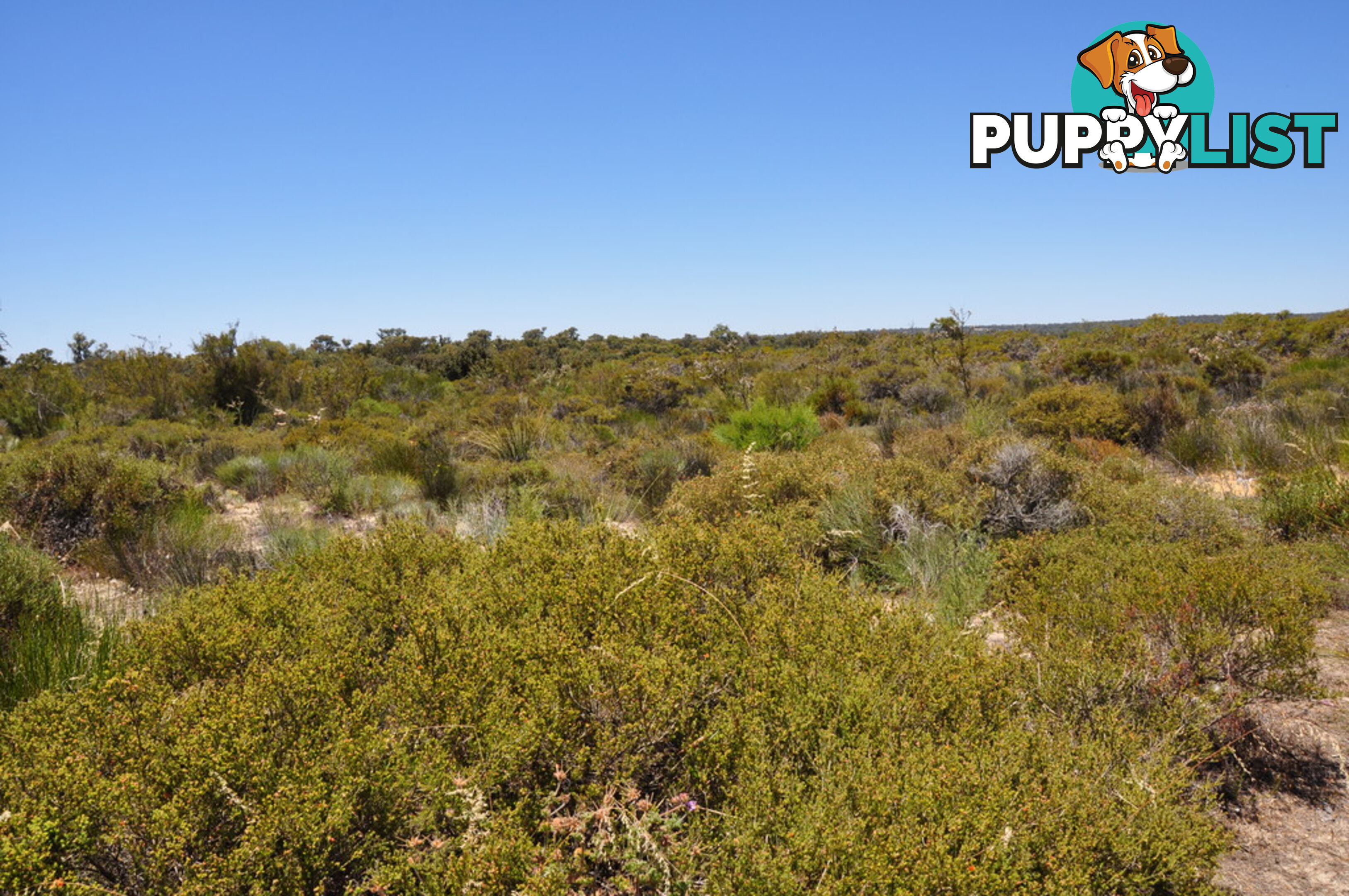 Lot 150 Wildflower Ridge Estate LOWER CHITTERING WA 6084