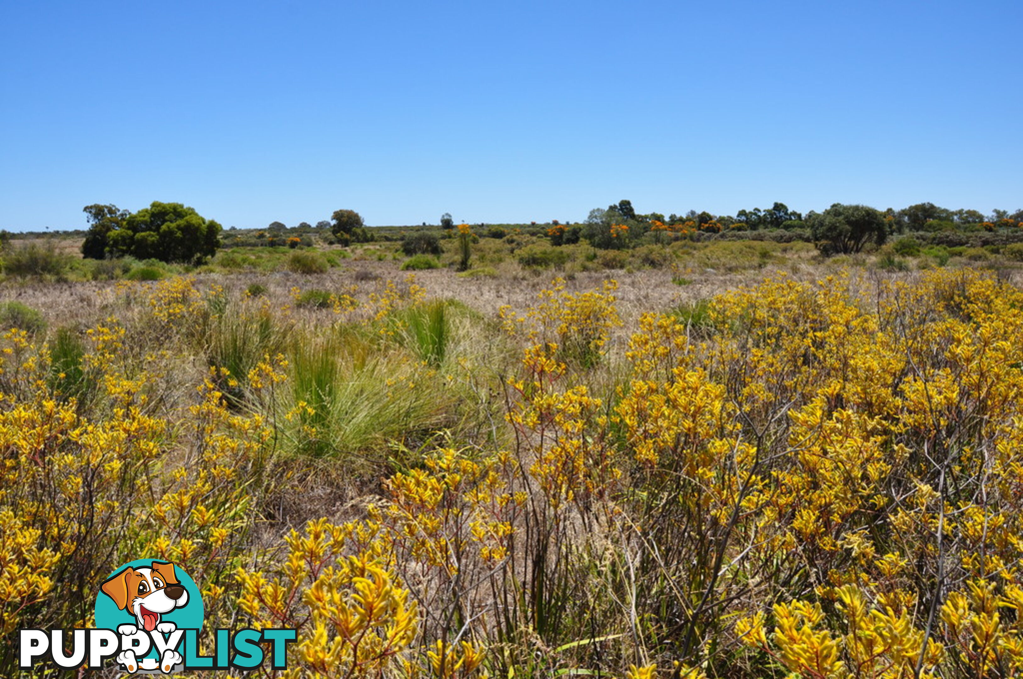 Lot 145 Wildflower Ridge Estate LOWER CHITTERING WA 6084