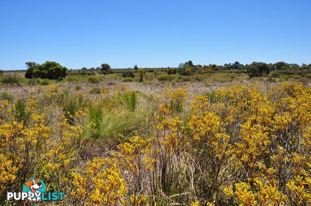 Lot 145 Wildflower Ridge Estate LOWER CHITTERING WA 6084