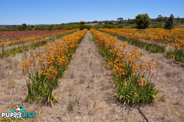 Lot 154 Wildflower Ridge Estate LOWER CHITTERING WA 6084