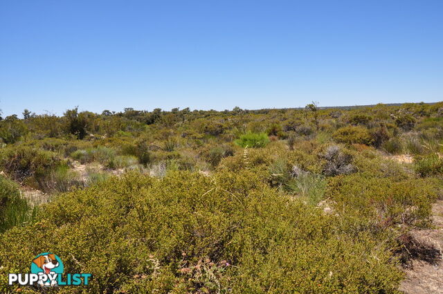 Lot 143 Wildflower Ridge Estate LOWER CHITTERING WA 6084