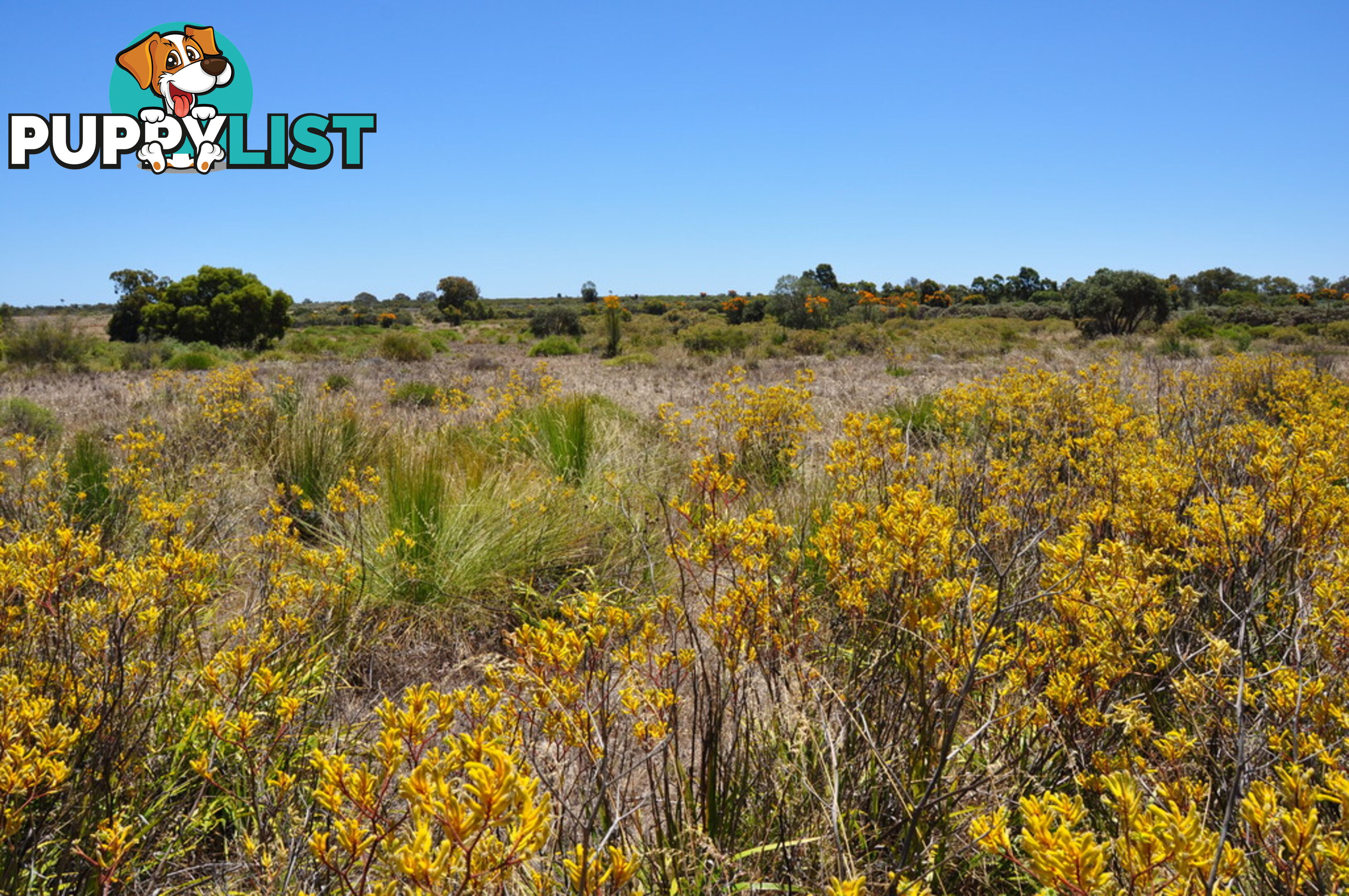 Lot 143 Wildflower Ridge Estate LOWER CHITTERING WA 6084