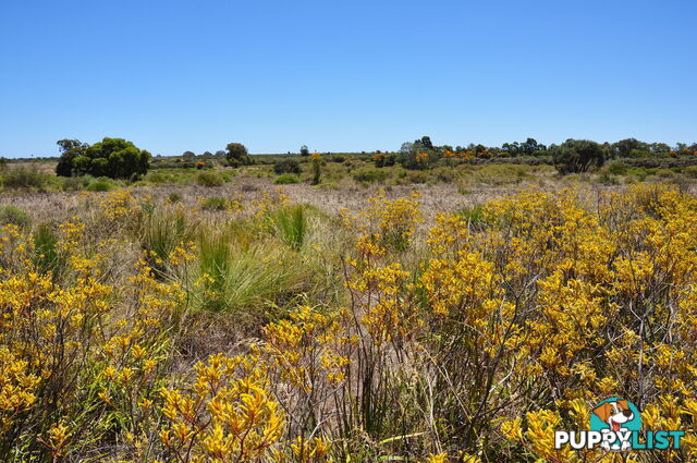 Lot 149 Wildflower Ridge Estate LOWER CHITTERING WA 6084