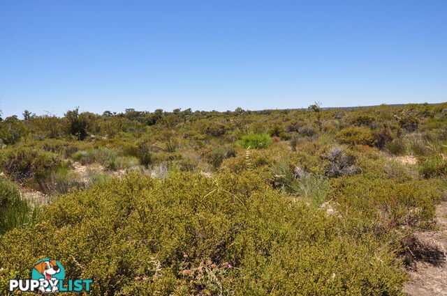 Lot 149 Wildflower Ridge Estate LOWER CHITTERING WA 6084