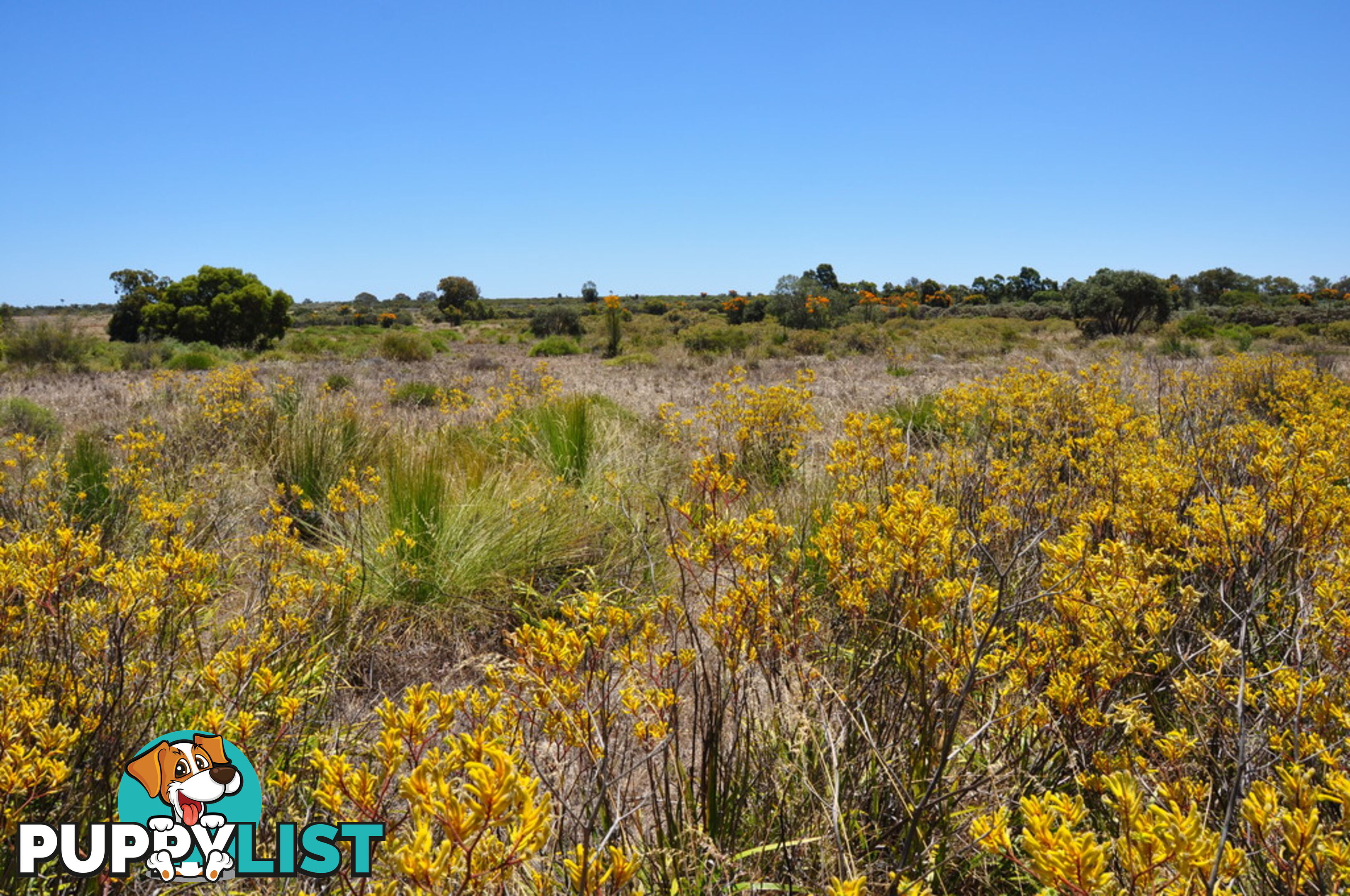 Lot 157 Wildflower Ridge Estate LOWER CHITTERING WA 6084