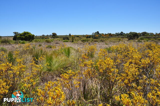 Lot 133 Wildflower Ridge Estate LOWER CHITTERING WA 6084