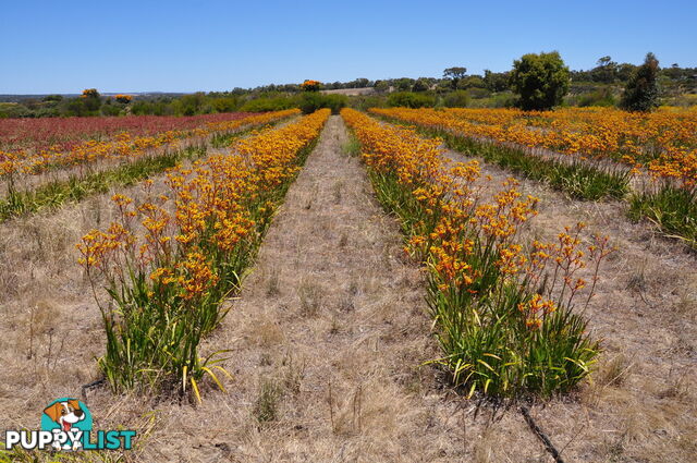 Lot 133 Wildflower Ridge Estate LOWER CHITTERING WA 6084