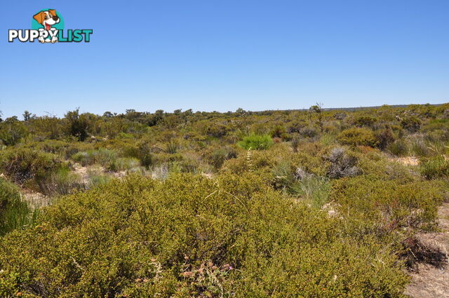 Lot 132 Wildflower Ridge Estate LOWER CHITTERING WA 6084