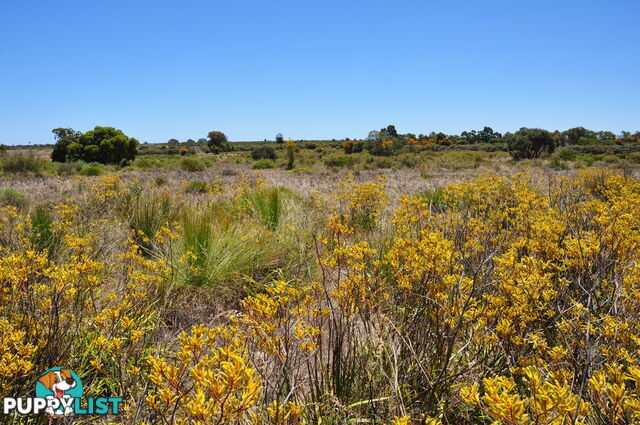 Lot 132 Wildflower Ridge Estate LOWER CHITTERING WA 6084