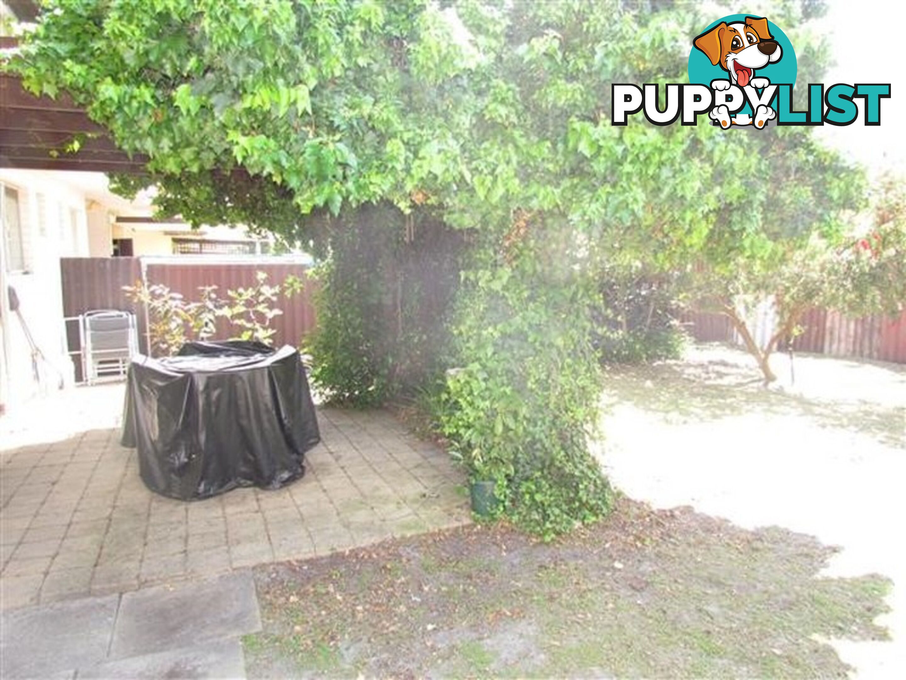 9/19 Freesia Way WILLETTON WA 6155