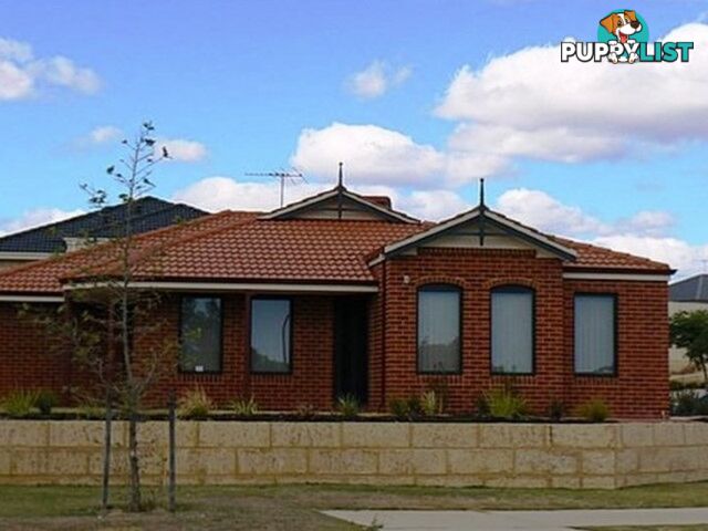 41 Tranby Drive BALDIVIS WA 6171