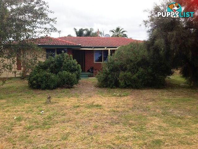 4 Hadlow Place THORNLIE WA 6108