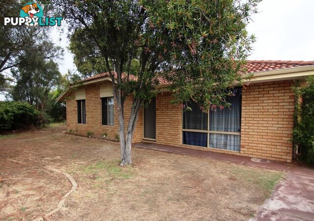 5 Panax Court SOUTH LAKE WA 6164