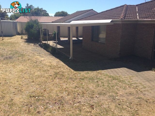 5 Panax Court SOUTH LAKE WA 6164