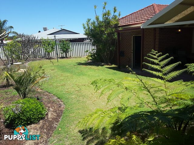 11 Hamlet Pass JANE BROOK WA 6056