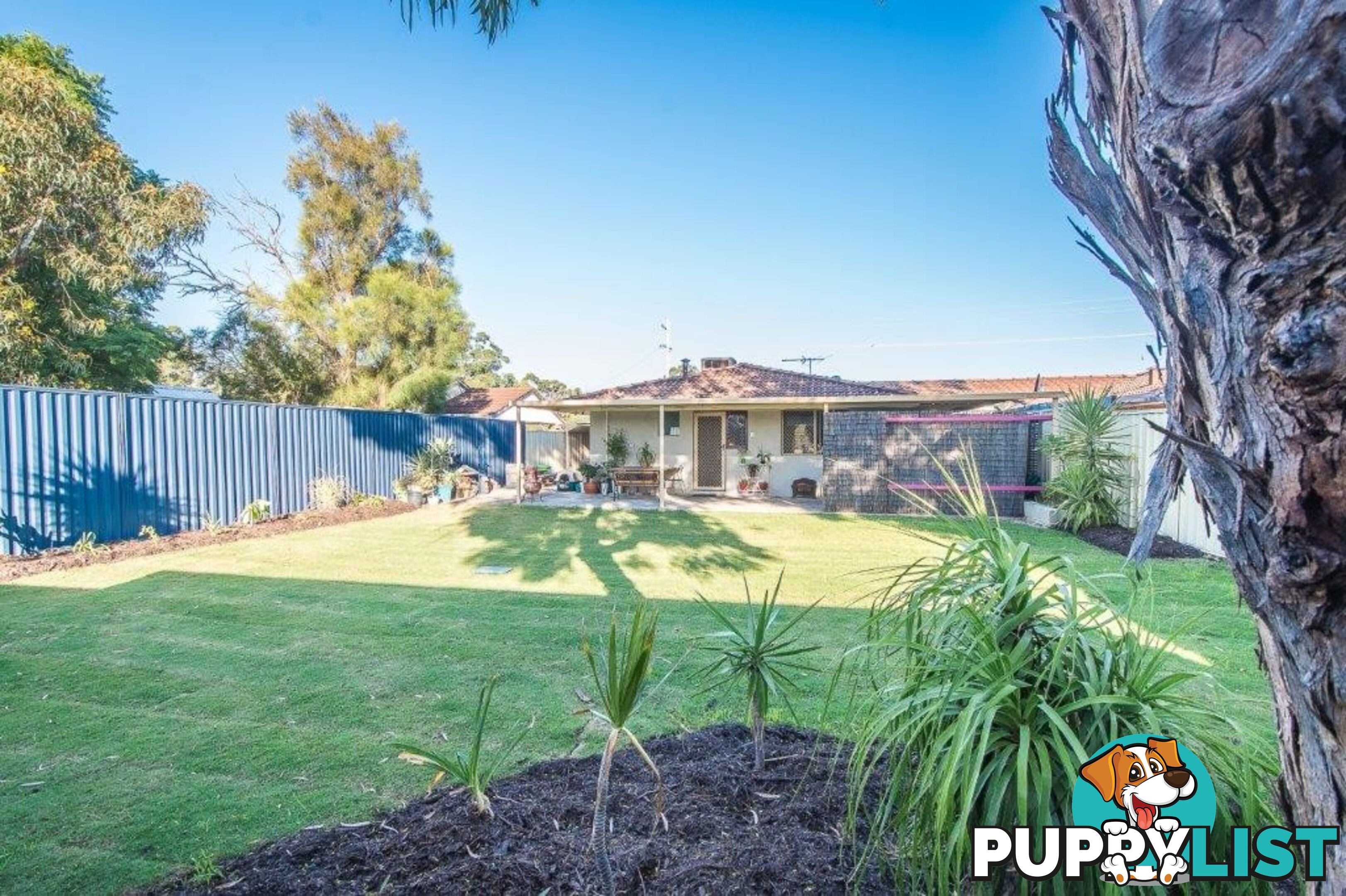 165A Verna Street GOSNELLS WA 6110