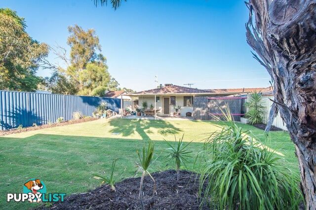 165A Verna Street GOSNELLS WA 6110