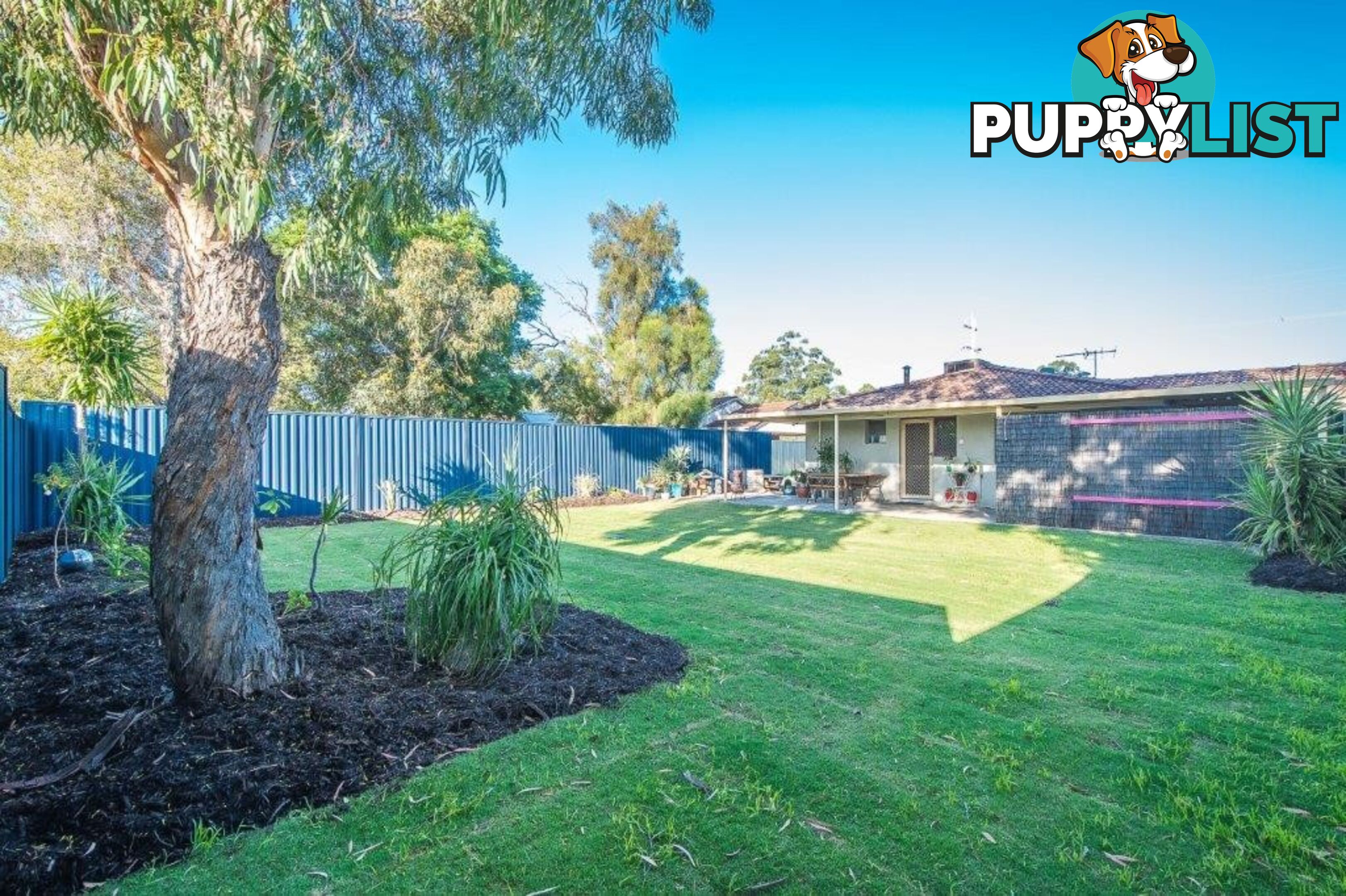 165A Verna Street GOSNELLS WA 6110